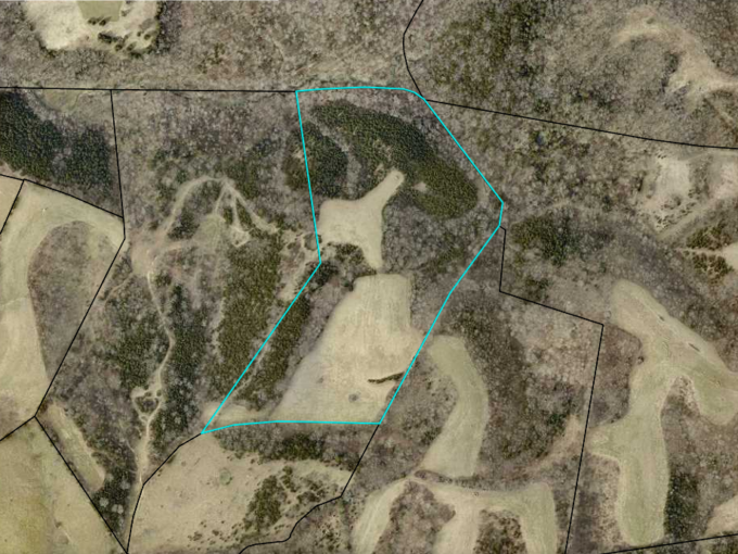 38.65 Acres (+/-) – Beechfork Road – Gravel Switch